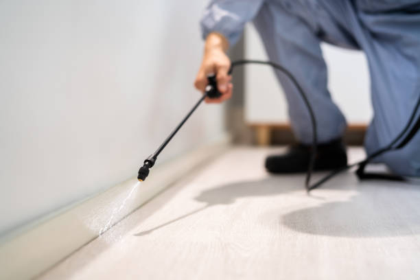 Licensed Pest Control service in Tecumseh, NE - Show Me Pest Control