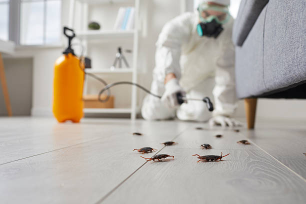 Post-Treatment Bed Bug Interceptor Monitoring in Tecumseh