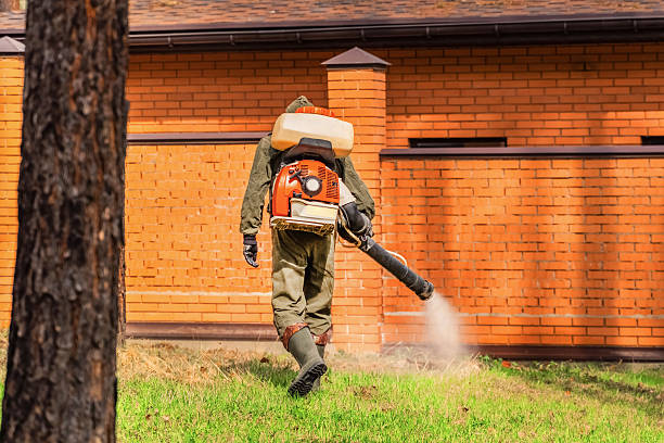 Bed Bug Clearance Verification and Documentation in Tecumseh